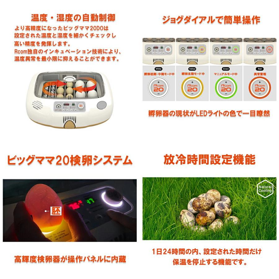 孵卵器 ベルバード ビッグママ20DO 鳥用 小型自動孵卵器