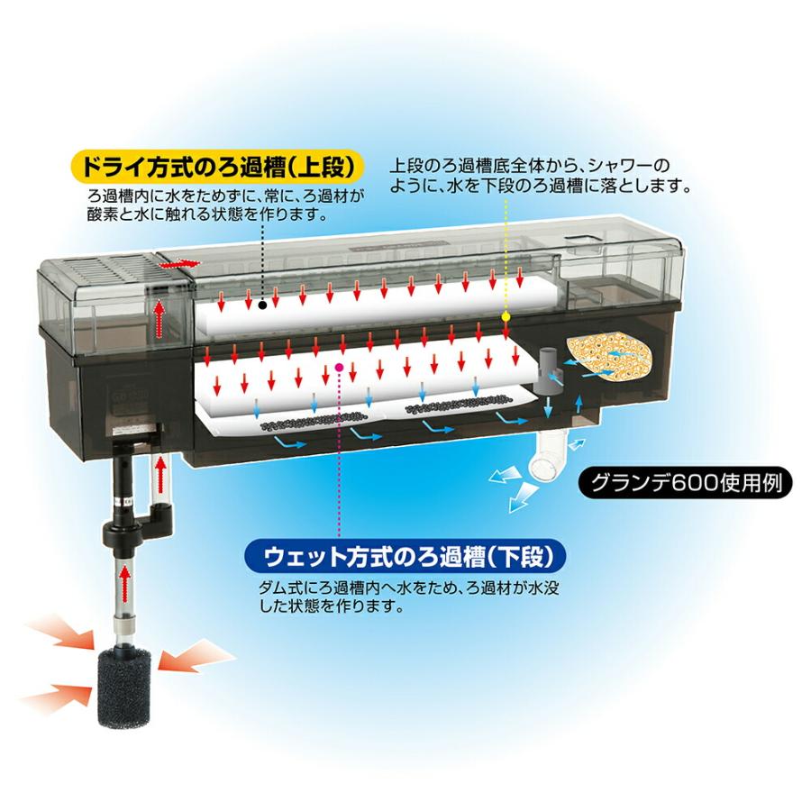 GEX 水槽セット マリーナ600BKST LED＆デュアルクリーン