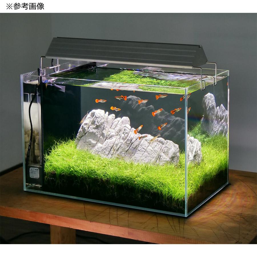 背面フローガラス水槽 ガラス水槽 アクロ 45cm 背面フロー水槽 スーパークリア