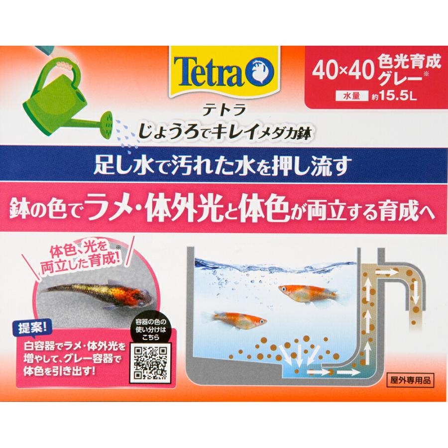 Tetra（テトラ） じょうろでキレイメダカ鉢 40×40 色光育成グレー
