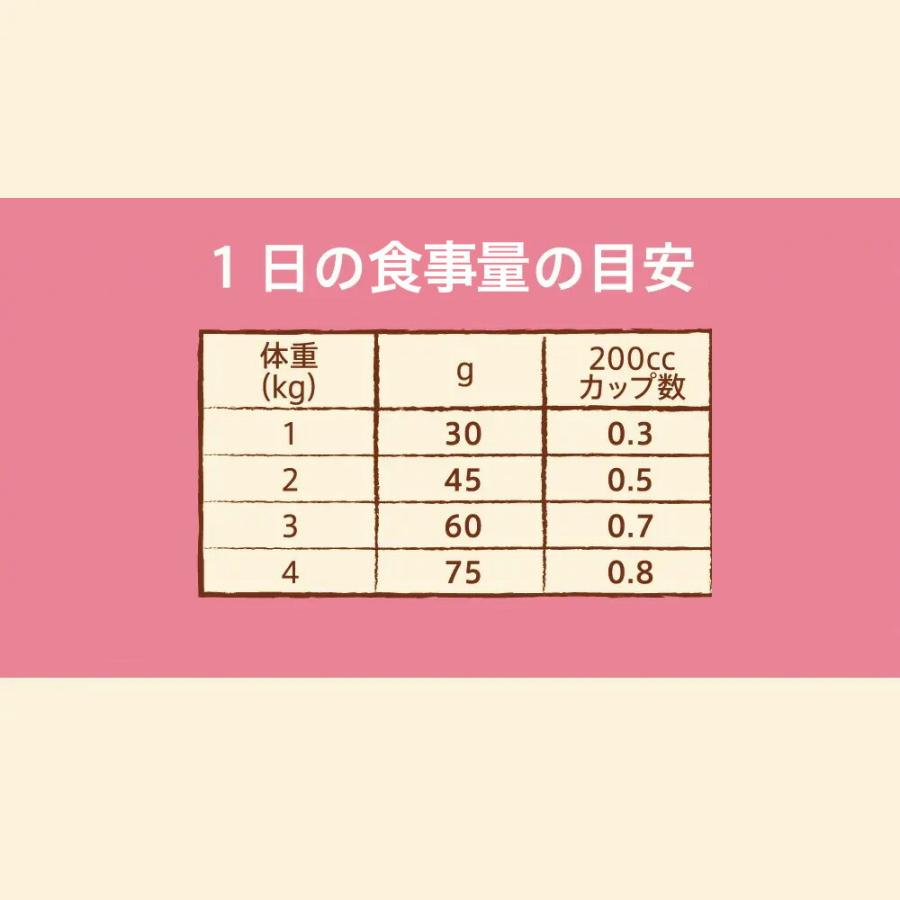 ニュートロ　ナチュラルチョイス　超小型犬用　成犬用　チキン＆玄米　４ｋｇ×２袋＋パウチ　１袋　おまけ付　お一人様１点限り_2