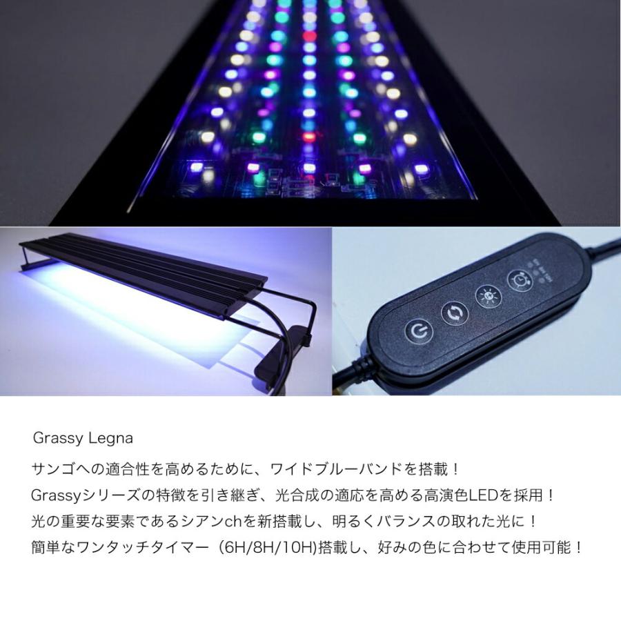 volxjapan（ボルクスジャパン） Grassy Legna Marine