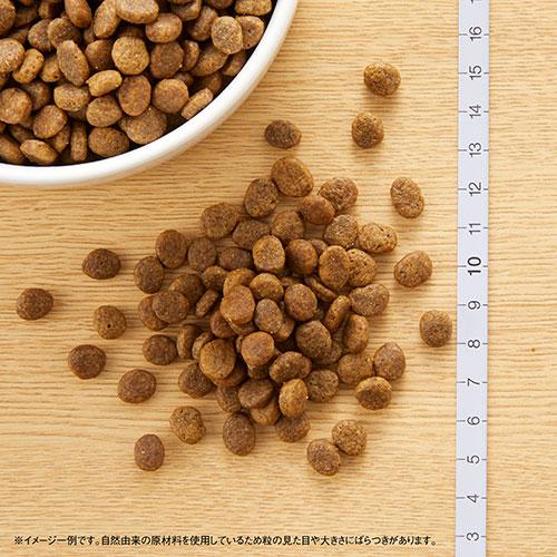 ニュートロ　ワイルドレシピ　ターキー　超小型犬〜小型犬用　子犬用　４ｋｇ×２袋＋パウチ　１袋　おまけ付　お一人様１点限り_5