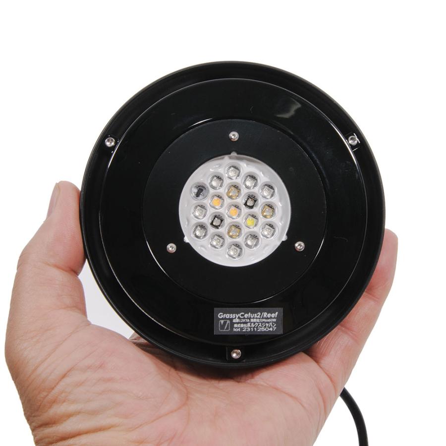 ボルクスジャパン　Ｇｒａｓｓｙ　Ｃｅｔｕｓ２　Ｒｅｅｆ　ＬＥＤ　ライト　照明_1