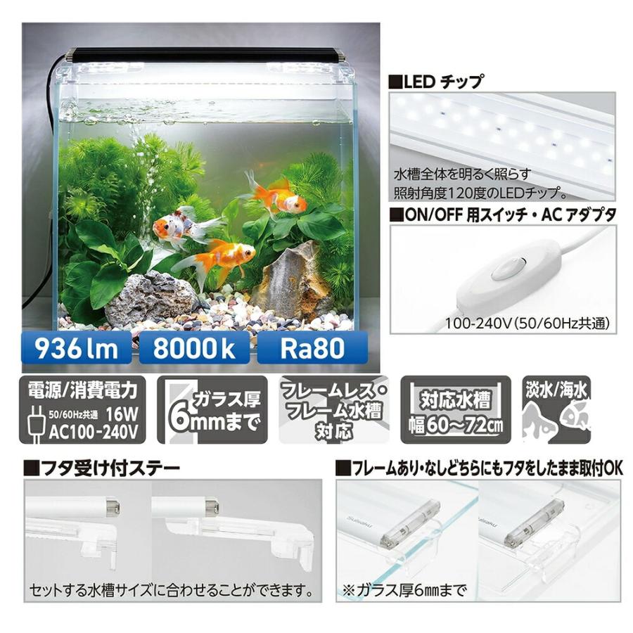 水作 LED ライトアップWIDE 600 ホワイト 60cm水槽 照明