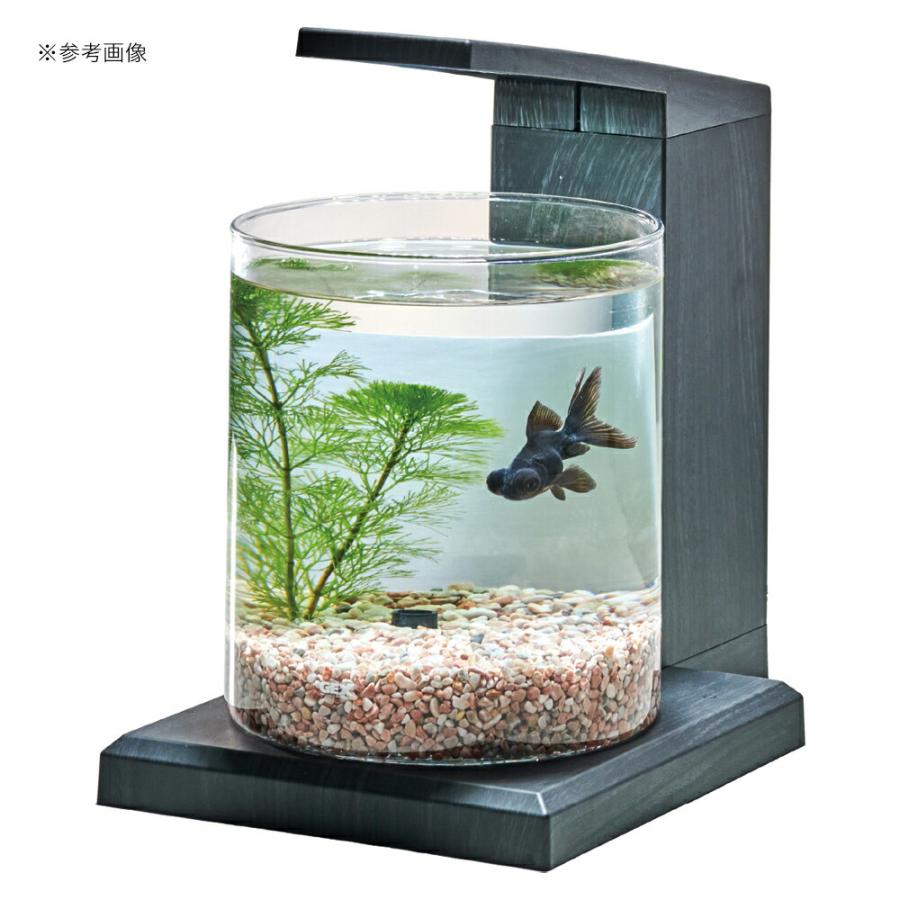 GEX PERCO ガラス水槽 セット GEX 水槽セット グラスアクア PERCO C−Charcoal