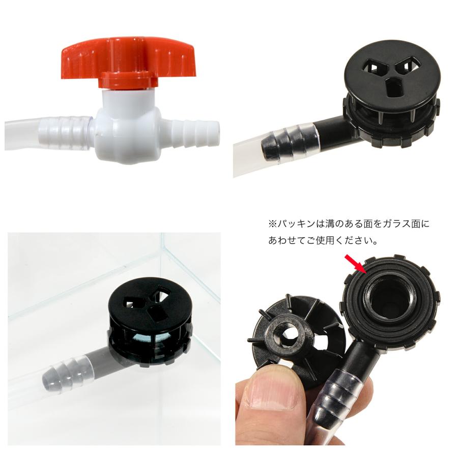 アクロ スーパークリア パルダリウムケージ 30×30×45cm 底面