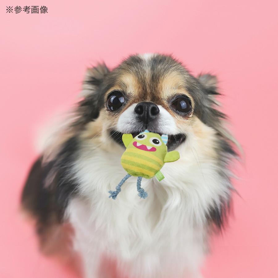 犬　おもちゃ　ループスモル　カラフルモンスター　ターコイズ |  | 05