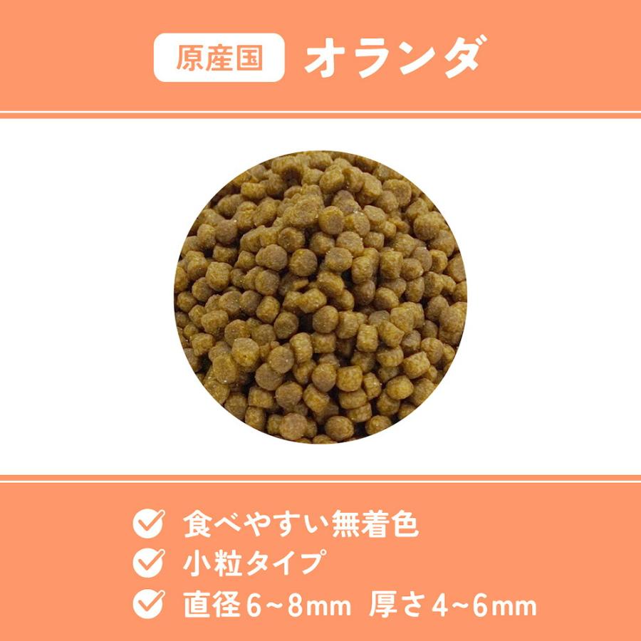 ベッツウェル 猫用食事療法食 肥満ケア 2kg : charm 第2ヤフー店