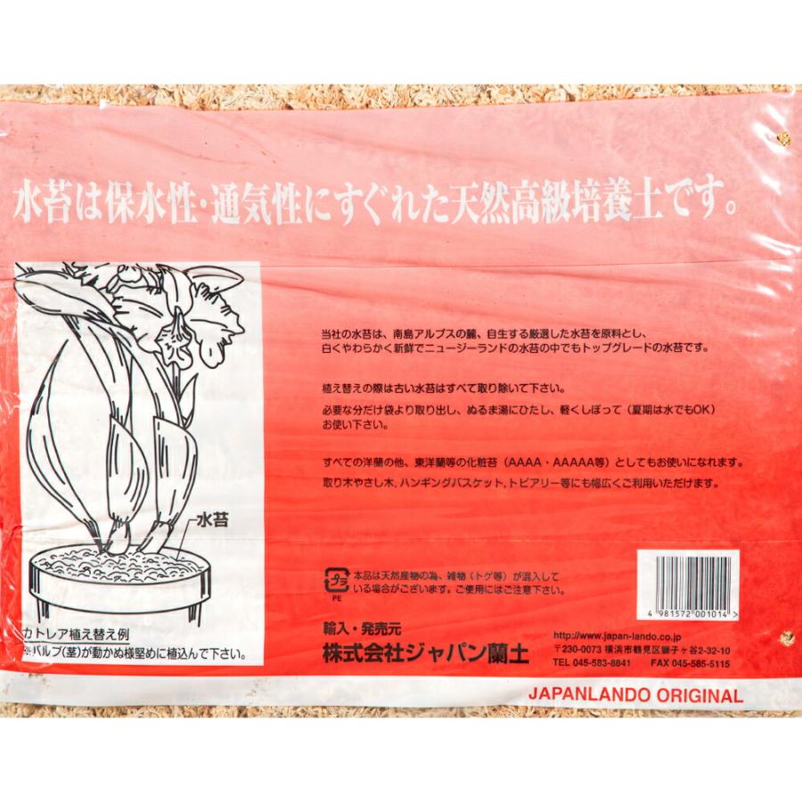 ニュージーランド産 水苔 AA 1kg : charm 第2ヤフー店 - 通販