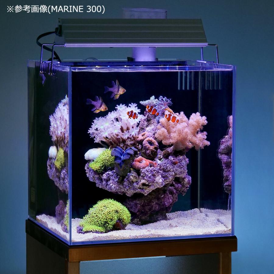 アクロ TRIANGLE LED MARINE 1200 海水魚 サンゴ