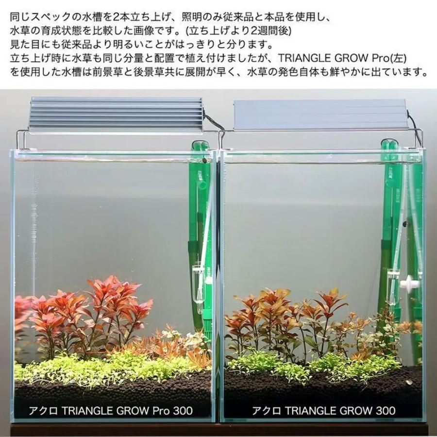 魚用品・水草 アクロトライアングルグロウ・ビビッド 2個セット 60cm用