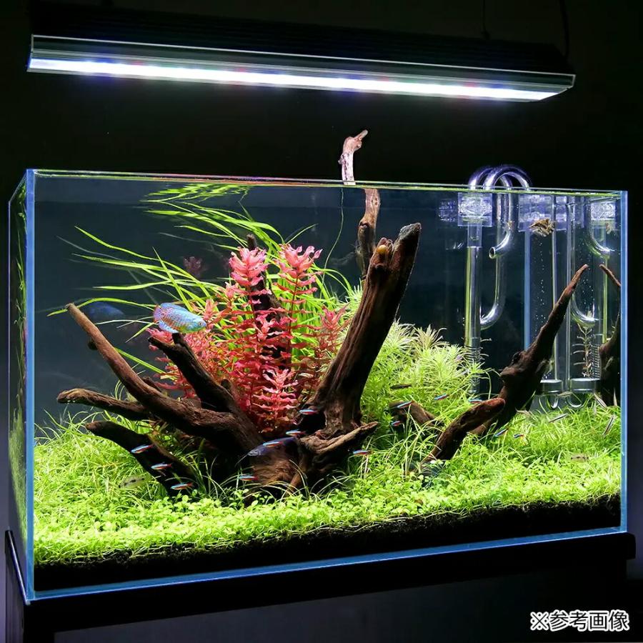 アクロ　トライアングルグロウpro 600 点灯確認済み アクロ トライアングルグロウpro 600 点灯確認済み 商品の説明アクロ