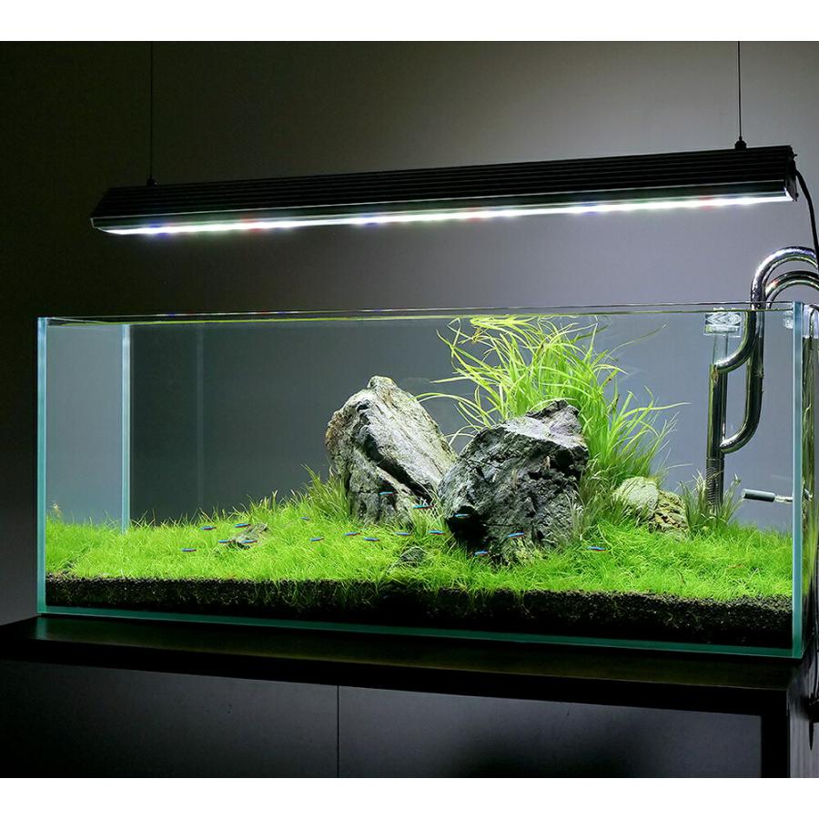 魚用品・水草 アクロトライアングル 3本セットGrow×2 Terrarium セット