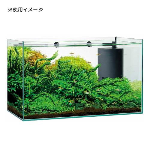 グラステリア GEX グラステリアサイレント 600ST 60cm水槽