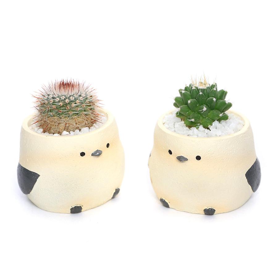 （多肉植物）おまかせプチサボテン　リトルアニマル　シマエナガ（１鉢）　固まる砂　多肉植物　おしゃれ　プレゼント（Yahoo!・charm 第2ヤフー店）
