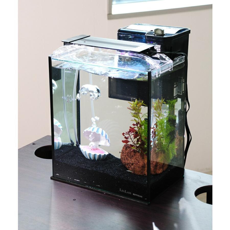 熱帯魚）（水草）簡単アカヒレ飼育水草レイアウトセット アカヒレ S 