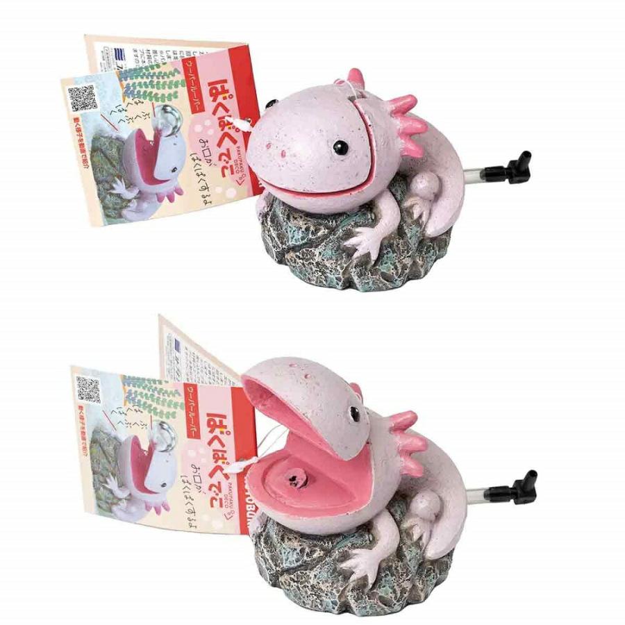 国産金魚）（水草）簡単ピンポンパール飼育水草レイアウトセット