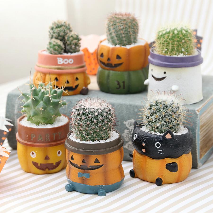 レジンポット(植木鉢) 12個　ハロウィン・富士山・サボテン チャーム（charm） （多肉植物）サボテン寄せ植え ハロウィン ミニ