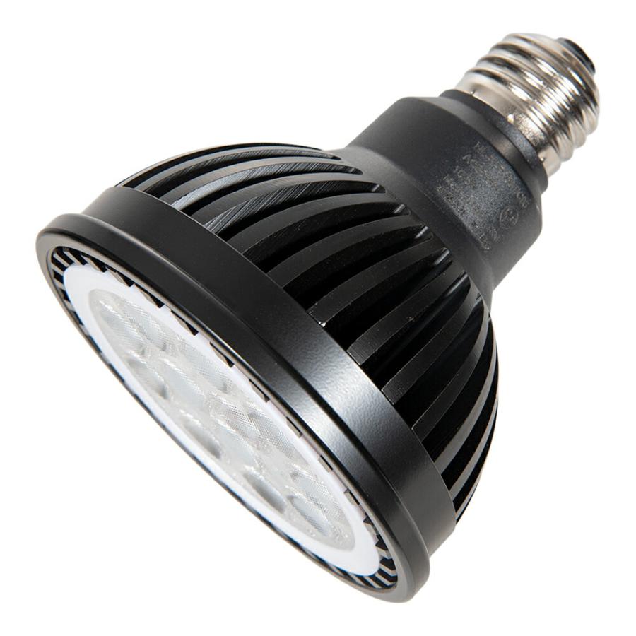 PLANTS NEXLIGHT BLACK 電球色（暖色光