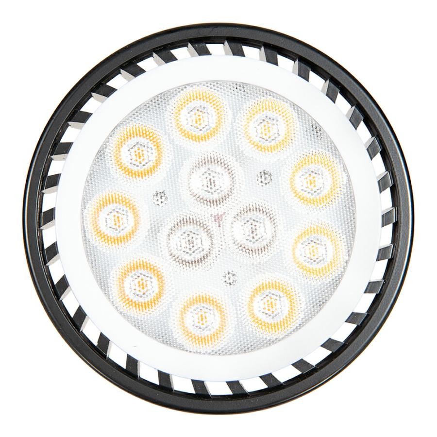 PLANTS NEXLIGHT BLACK 電球色（暖色光