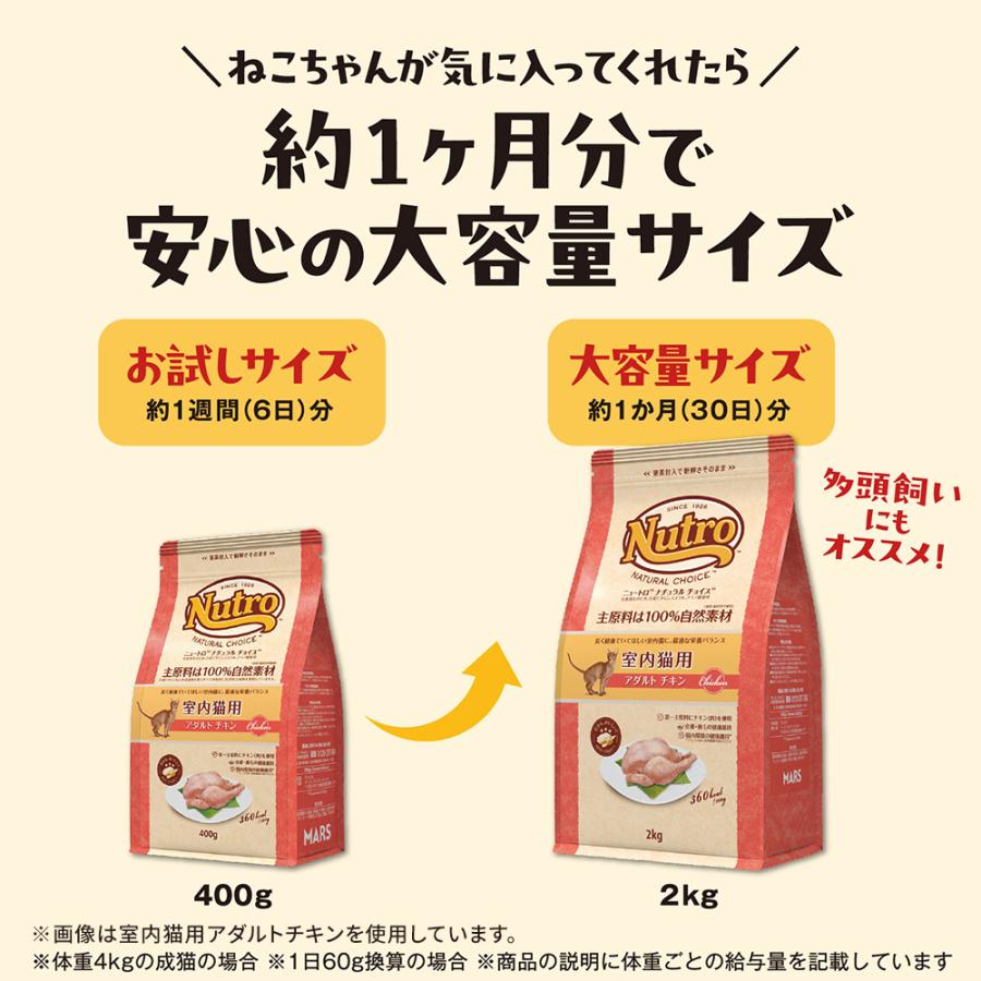 ナチュラルチョイス ニュートロ 猫 ナチュラルチョイス 室内猫用