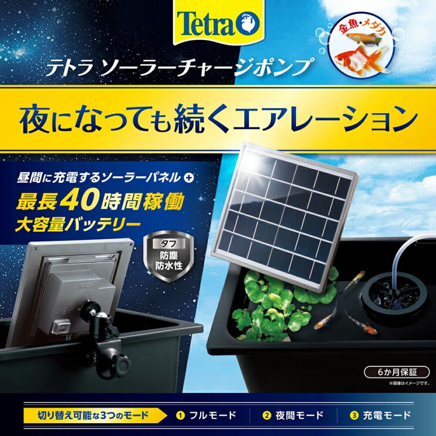 テトラ　ソーラーチャージポンプ |  | 02