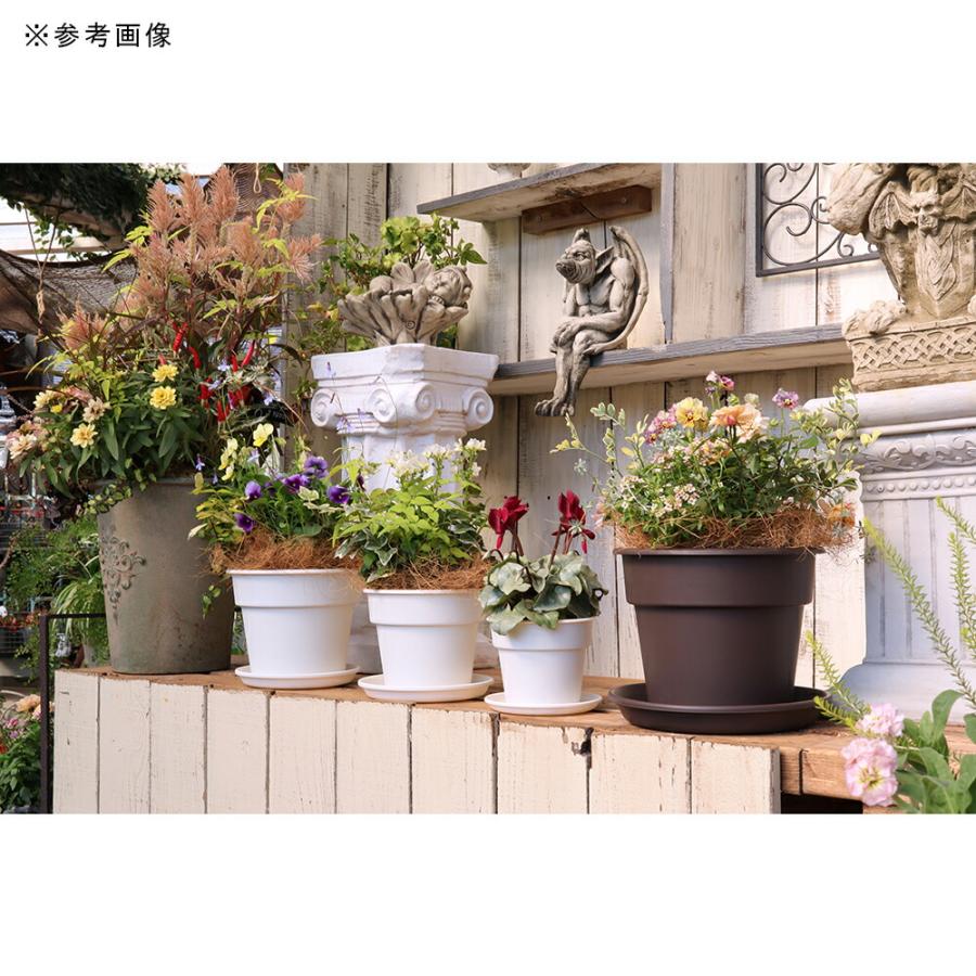 アップルウェアー シンプルポット 5号 ホワイト 植木鉢 : charm 第2
