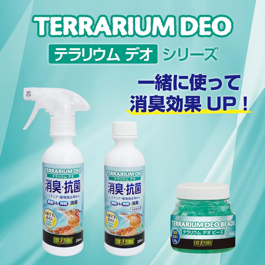 テラリウム　デオ 消臭抗菌スプレー 250ml✖️31本セット（爬虫類用品） GEX テラリウムデオビーズ 無香料 消臭 爬虫類 : charm 第2ヤフー店