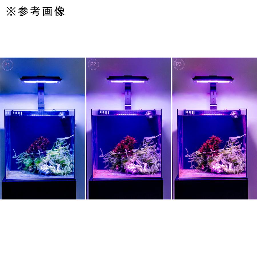 マックススペクト海水魚、サンゴ用LEDライト　美品 maxspect MJ−L230 Refugium LED 海水