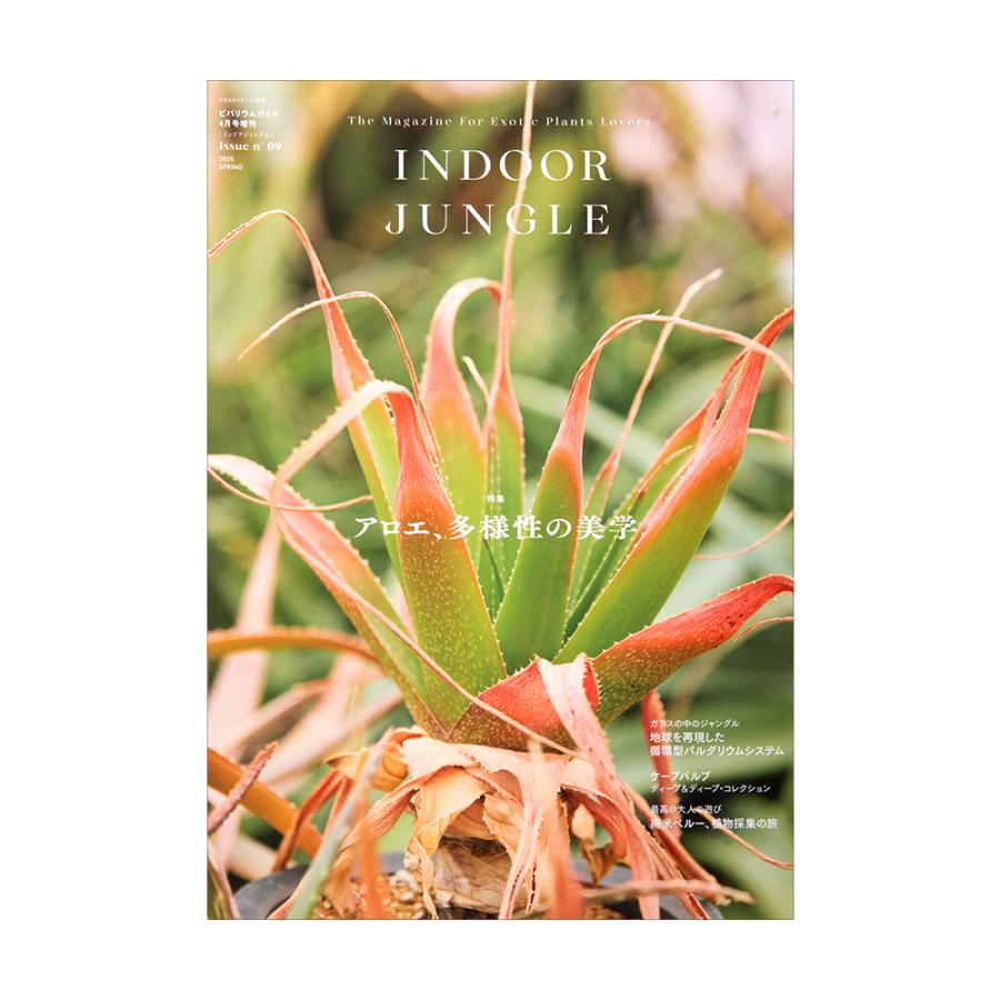 INDOOR JUNGLE インドア・ジャングル2026 No．9