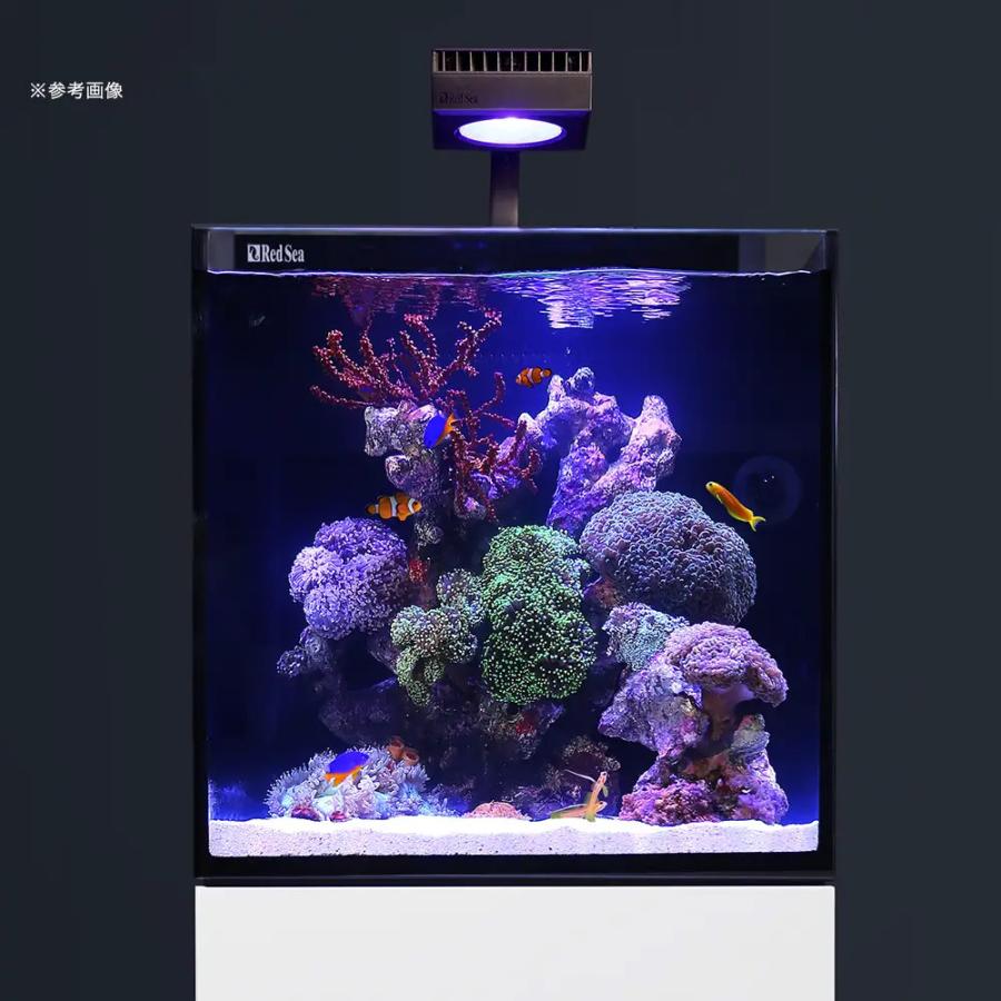 大型）レッドシー MAX NANO ペニンシュラセット 白 50Hz