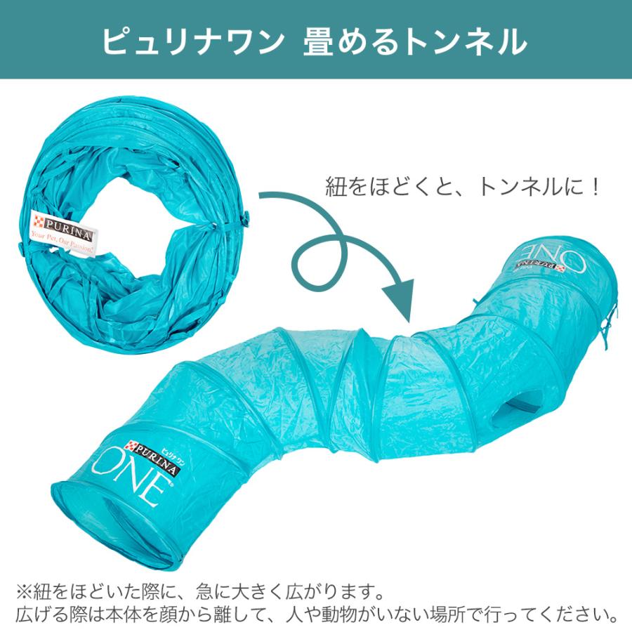 トンネルおまけ付き ピュリナワン 下部尿路ケア 盛りだくさんセット 