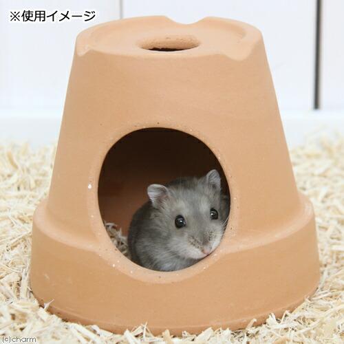 Leaf Corp 小動物のテラコッタハウス SS 直径11cm 高さ10cm