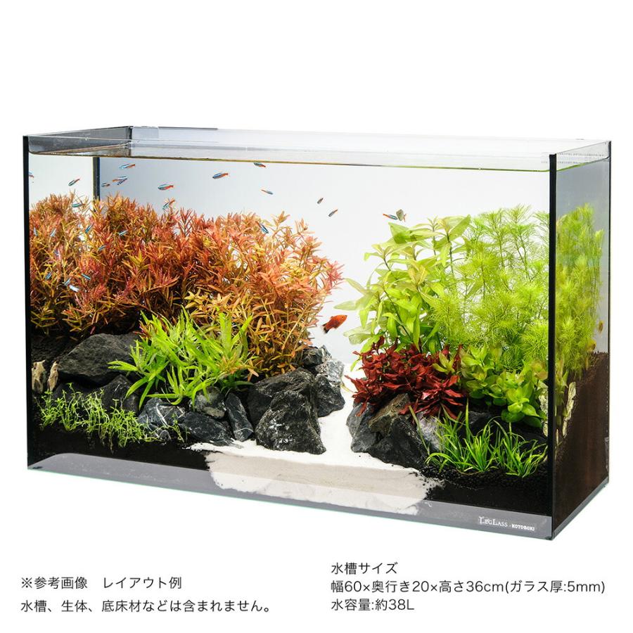 水草）60cmスリム水槽用 水草レイアウトセット 風山石付き : charm