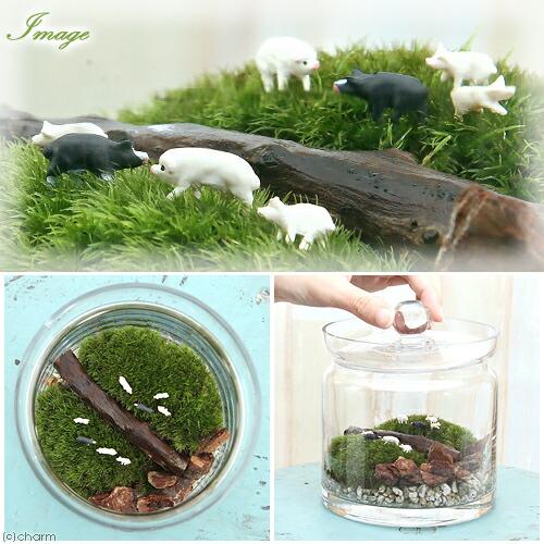 （観葉植物）苔テラリウム　大きな牧場　豚　ガラスポットＬ　説明書付　コケテラリウム　苔テラ　コケテラ　苔　インテリア 苔の森の贈り物】苔テラリウム フィグ瓶 ◇プレゼントにおすすめ | 苔テラリウム専門ショップ道草