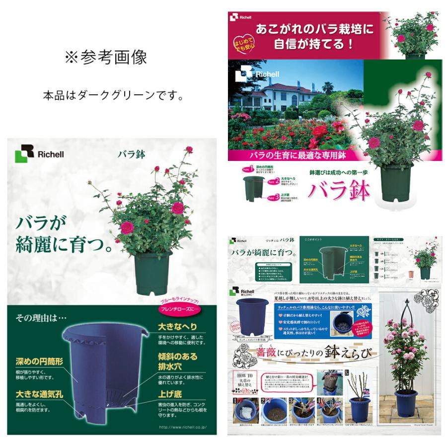 リッチェル　バラ鉢 ７個（中古） ダークグリーン（内２個未使用） リッチェル（Richell） 鉢 バラ鉢 ダークグリーン 10号 φ30