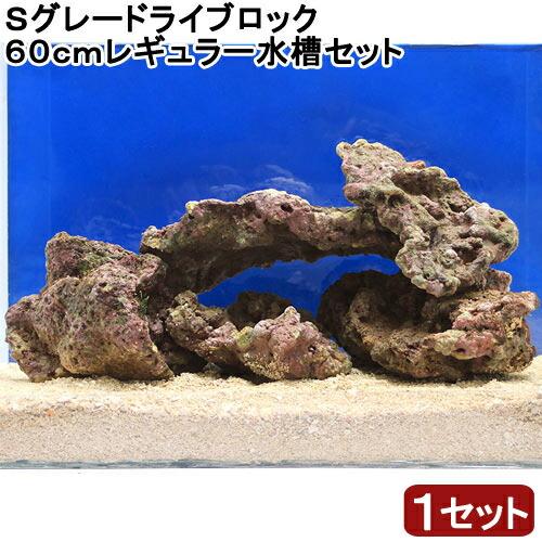 （海水魚）Ｓグレードライブロック　６０ｃｍレギュラー水槽用（１セット）（形状お任せ）