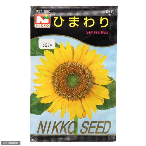 日光種苗 ひまわりの種（SAN FLOWER） 品番：1077 家庭