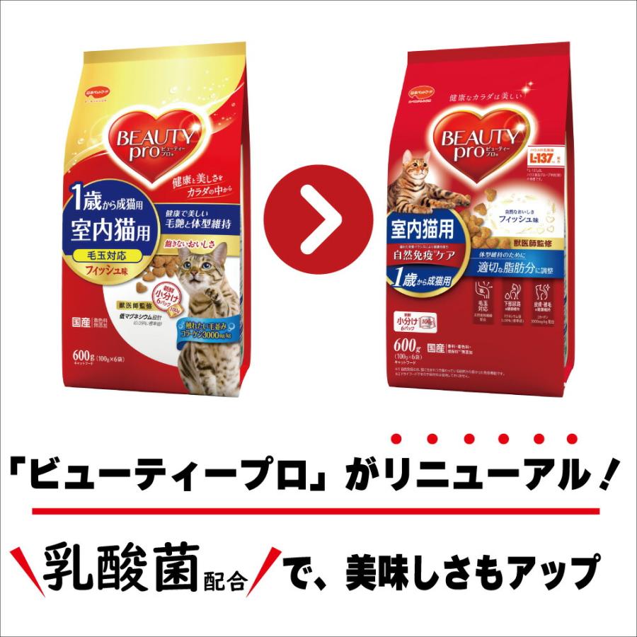 ビューティープロ - キャットフード 猫 成猫用 １歳から 魚肉味 ６００ｇ×１０袋 お一人様２点境界線