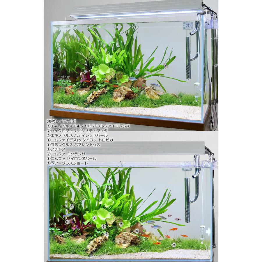チャーム（charm） 木化石 粒 約2〜6cm 1kg 形状お任せ