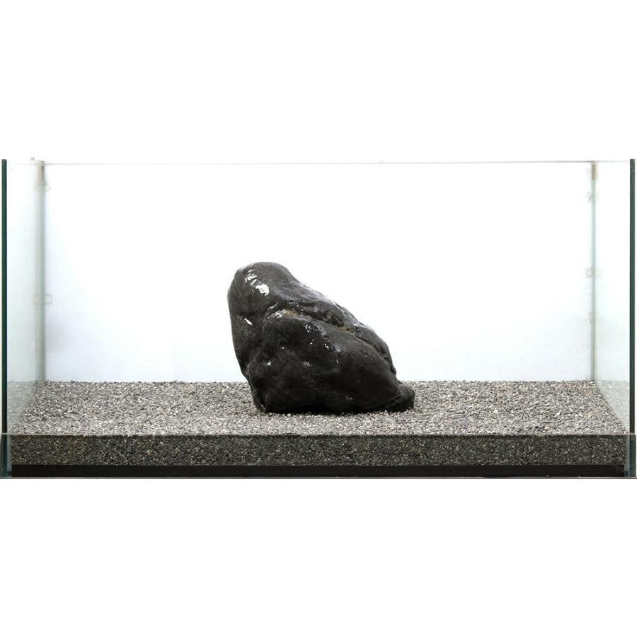 チャーム（charm） 一点物 碧海石 親石 大型水槽用 857690