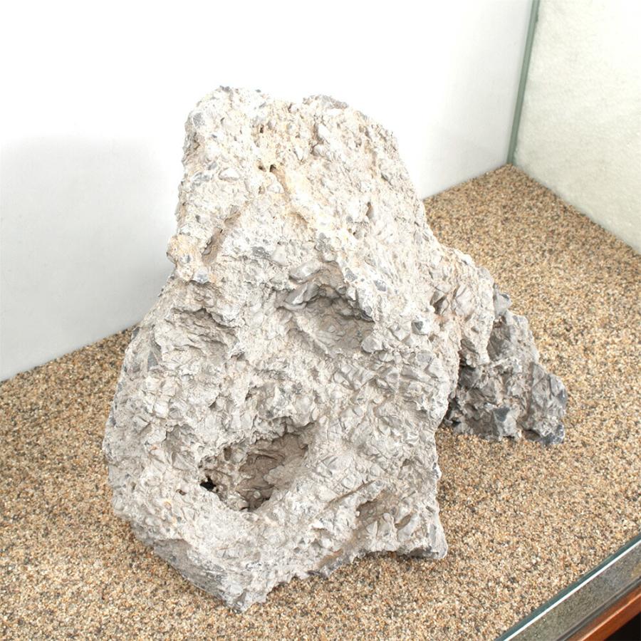 一点物　裂渓石　親石　６０ｃｍ水槽用　８８０２５６_1