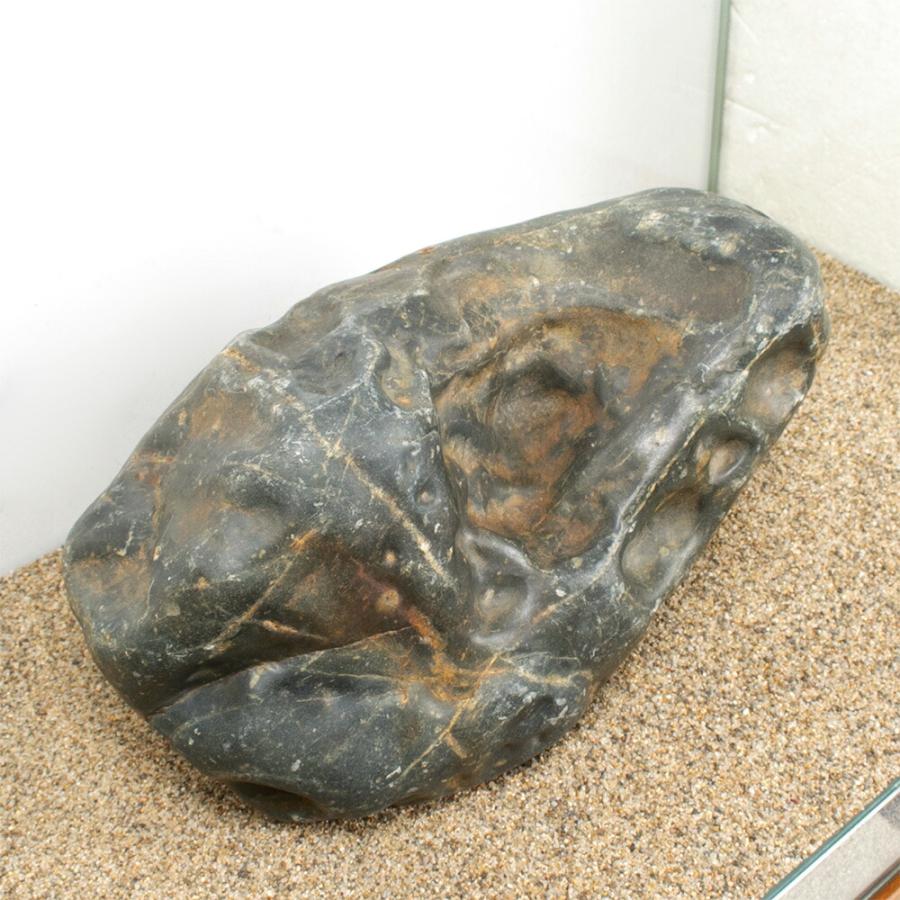 八海石(60cm水槽親石サイズ1点) 一点物 碧海石 親石 60cm水槽用 880318 : charm 第2ヤフー店