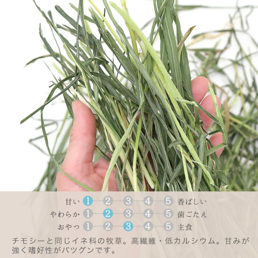 Leaf Corp 令和8年産 国産牧草 やみつきオーツヘイ 1kg 窒素充填