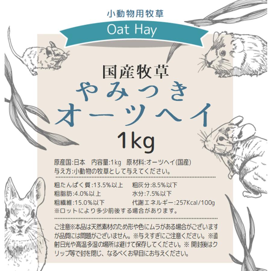 Leaf Corp 令和8年産 国産牧草 やみつきオーツヘイ 1kg 窒素充填