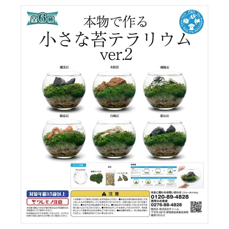 種類おまかせ　本物で作る　小さな苔テラリウム　カプセルトイ　ｖｅｒ．２（Yahoo!・charm 第2ヤフー店）