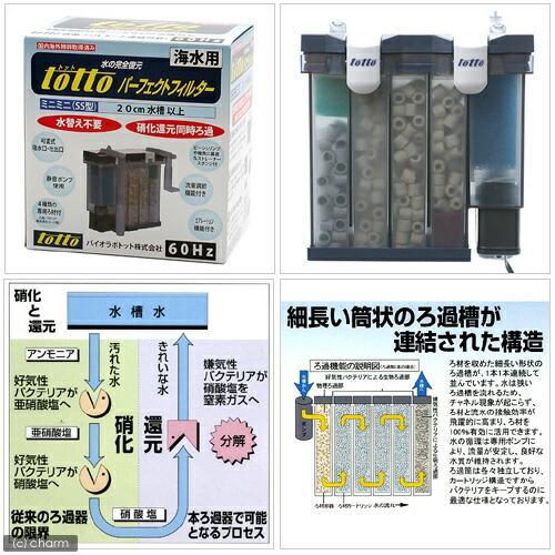 トット　パーフェクトフィルター ミニミニ（SS型）　海水用　（西日本 60Hz） トット パーフェクトフィルター ミニミニ（SS型） 海水用 60Hz