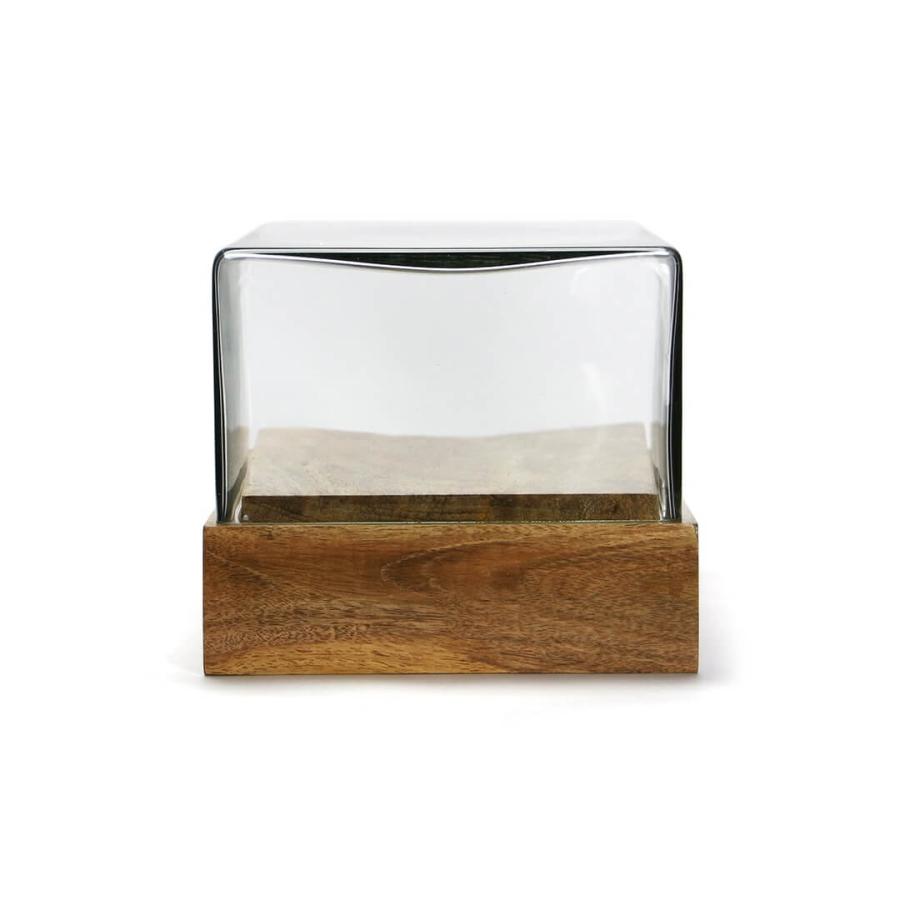 Glass Dome \