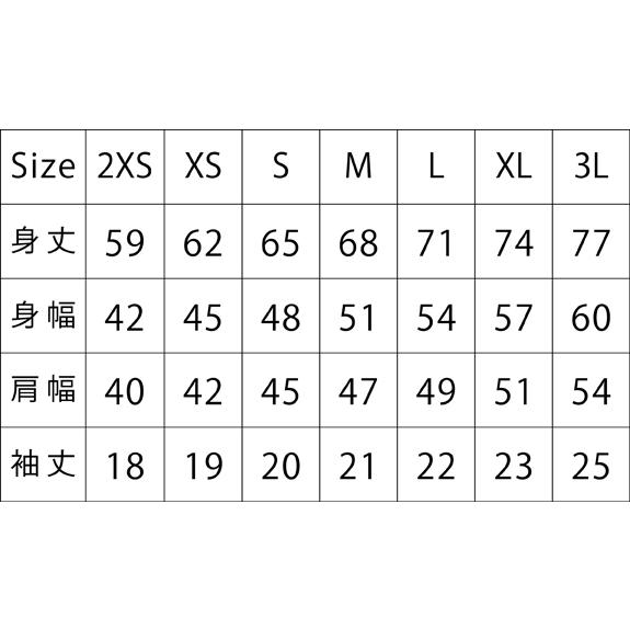 チーム割あり ラグビー 練習着 tシャツ 部活 チーム ドライ 半袖